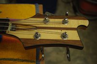 IMGP6250.JPG