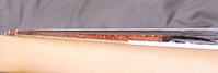 bigbajo60s 4001C64S - neck angle.jpg