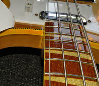 body fretboard.jpg