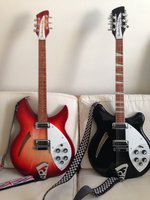 Rickenbackers (twins).jpg