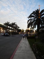 DSCN0232.jpg