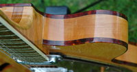 tortoiseshell binding