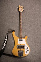 meltio_rickenbacker01.jpg