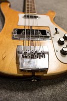 meltio_rickenbacker03.jpg