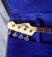 Fender in Rick case