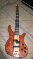 Fender5.JPG