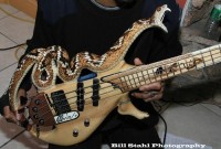 snake guitar.jpg
