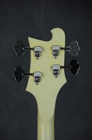 backheadstock.JPG