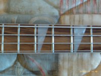 Unusual Fret Board