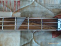 Unusual Fret Board