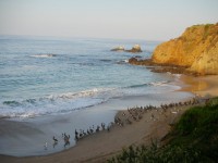 Crescent Bay/Laguna Beach