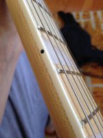 IMG_0757.jpg