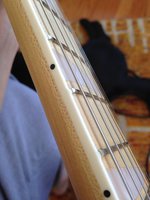 IMG_0759.jpg