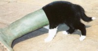 boots.jpg