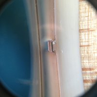 IMG_0787.jpg