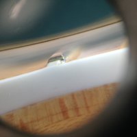 IMG_0788.jpg