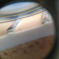 IMG_0789.jpg