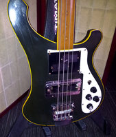 Bass-FL-1.jpg