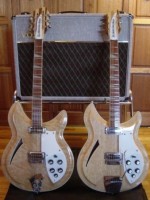 381s with Fawn AC 30 web size for posting.JPG