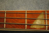 DSC_0973new.jpg