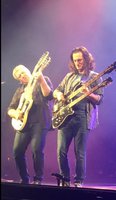 Geddy.JPG