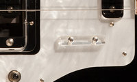 Finger Rest Detail-Crop_6386.jpg