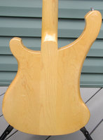 Body rear.jpg