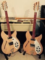 Rickenbacker 330's 1.jpg