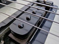 Bass Hi-Gain pickup 02.jpg