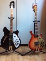 Rickenbacker Sisters.jpg