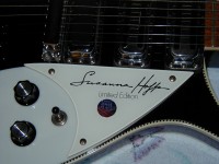 350SHpickguard.JPG