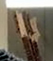 RIC001 - Copy.JPG