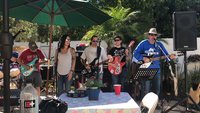 Al on drums, Javier on the 480, Nichole on vocals, Joey on the Set Neck "S" Bass, Paulie with Big Red, Frank on the 350 Hoffs Limited Edition