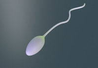 Sperm.jpg