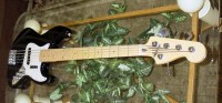 Bass5-0018.JPG