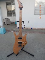 Bunker_ProStar_10-string_Natural_rszd2.JPG