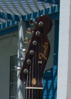 Headstock_crpd.JPG