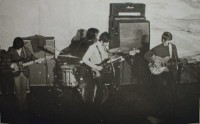BYRDS.jpg