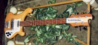 Bass5-0004.JPG
