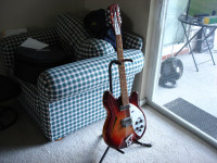 Rickenbacker 360-12 AFG #02.JPG