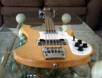 Bass5-0006.JPG