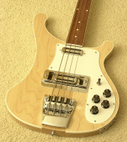 Lucite Pickguard medium 02.jpg