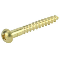 roundhead screw.jpg