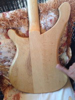 IMG_1202.jpeg