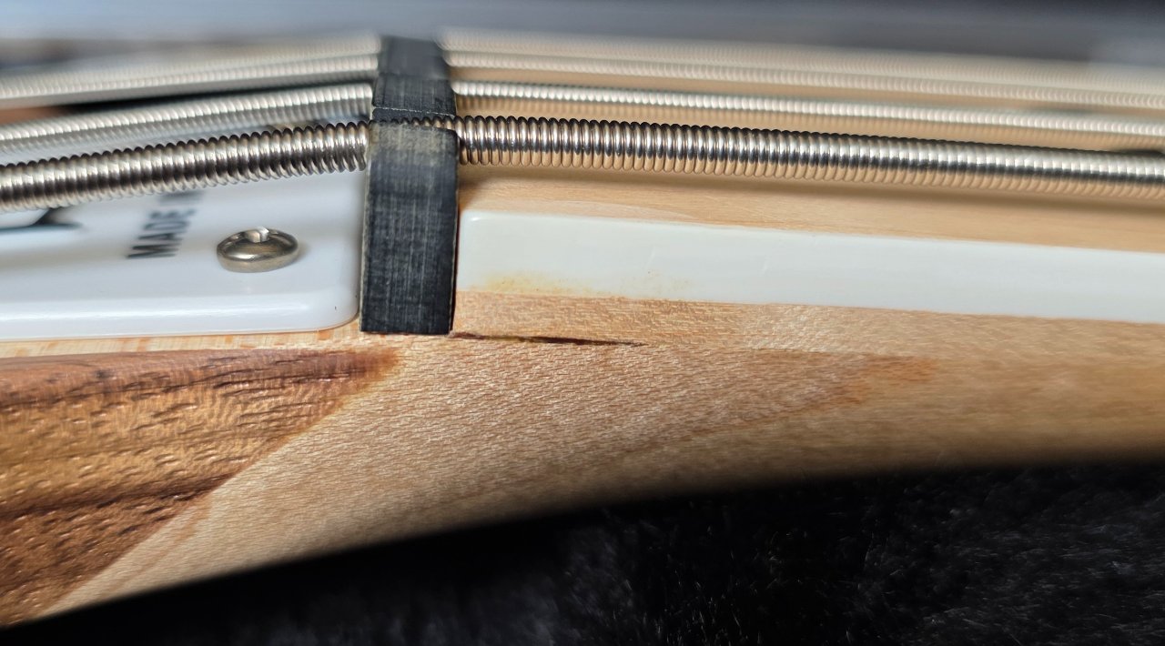 20250801_122350 Ric Fretboard c.jpg