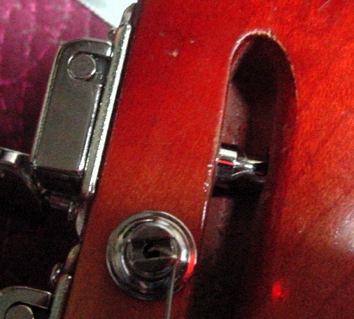 slot now visible clearing wood