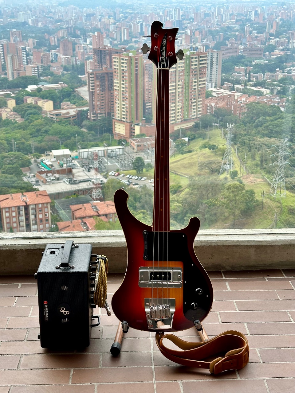 4003 factory fretless coversion to single pickup