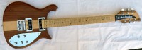 rickenbacker650_02.jpg