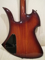 Back body.jpg