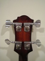 Back Headstock.jpg